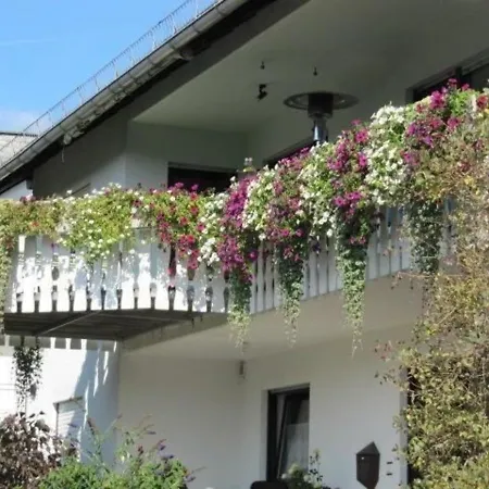 Gesamte In Niedersfeld *